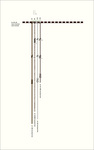 UR293/KH0531